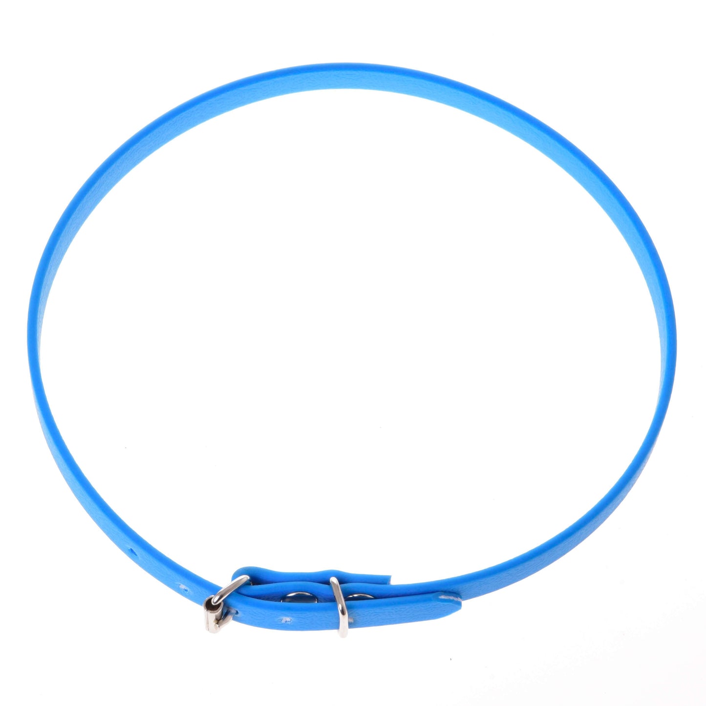 Hobby Horse cordeo bleu (taille S) de Hobby Horse LarDen, avec design fin bleu vif et petite boucle en métal, idéal pour accessoiriser votre Hobby Horse ou comme cordeo alternatif. Présenté en cercle sur fond blanc.