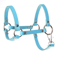 The Hobby Horse LarDen Halter - black leatherette (Size S) features silver metal rings, rivets, and clasp, styled like a hobby horse halter—perfect as a unique accessory—shown against a white background.
