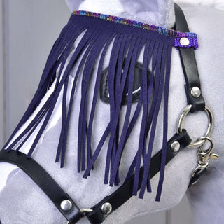 Licol noir avec franges lilas