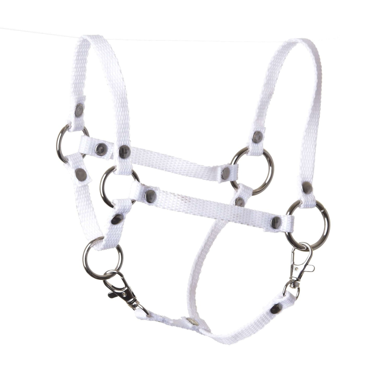 Hobby Horse LarDen Halfter weiß, ein Nylon-Halfter für Hobby Horse mit Metallringen und Schnallen, ideal als Zubehör zum Sichern oder Führen deines Hobby Horse. Vor weißem Hintergrund gezeigt.