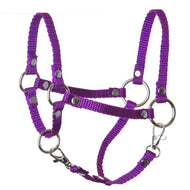 The Halter purple by Hobby Horse LarDen is a nylon accessory with metal rings and rivets, ideal for leading and tying your hobby horse in style.