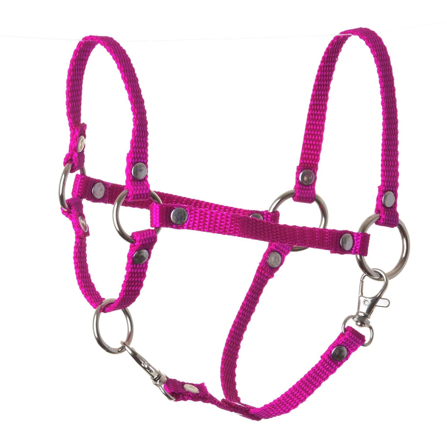 Hobby Horse LarDen Halfter rosa, ein leuchtend pinkes Nylon-Halfter für Hobby Horse mit Metallringen und Schnallen, freigestellt vor weißem Hintergrund.
