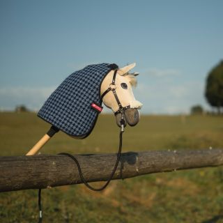 💥Wir haben die letzten sonnigen Tage. Jetzt beginnt die richtige Zeit, die Pferde einzudecken.💯