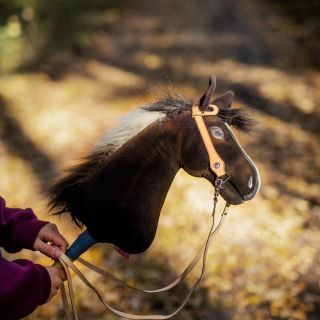 ❤️Wir lieben den Herbst – die Farben und Hobby Horsing❤️