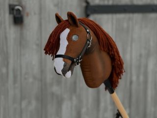 Dieses Hobby Horse ist etwas Besonderes. Wir haben es auf der Veranstaltung @pragueplayoffs genäht. Unser LarDen-Stand...