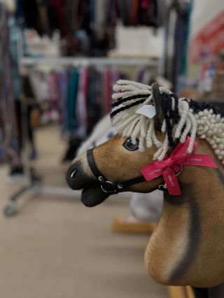 Genau in einer Woche, am Samstag 15.11.25, wird unser LarDen-Stand bei den Mitteldeutschen Hobby Horse Meisterschaften in...