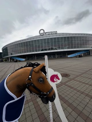 ❤️Heute fahren wir zu dieser wunderschönen Veranstaltung @pragueplayoffs voller Pferde. Ihr könnt uns in der...