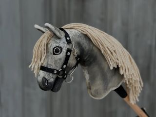 Neue Limitierte Colection 💪👍👍