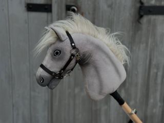 Silver Girl 🐴❤️