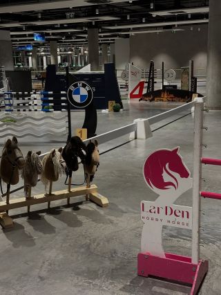 Great time 🥰 Great weekend🥰Best Event ever @pragueplayoffs @ceska_hobby_horsing_asociace