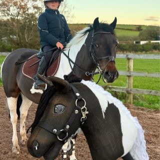 ❤️Es war uns eine Ehre, auch zu diesen Weihnachten Ponys in der Größe XS für diese großartigen Schwestern @galusistersride...